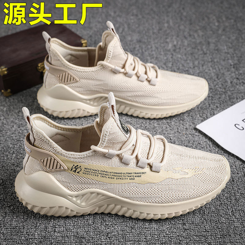 New Spring Men's Shoes, Breathable Mesh Shoes, Korean Style, Versatile Thick-Soled Sports Shoes, Casual Running Dad Shoes image 1